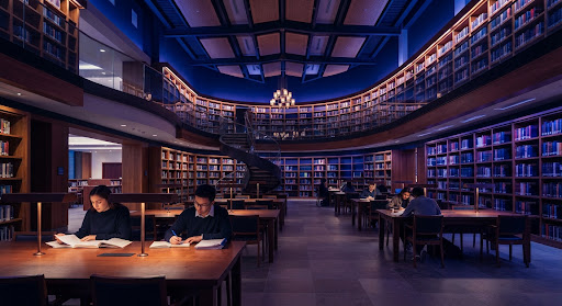 ALZAD libraries and archives vision